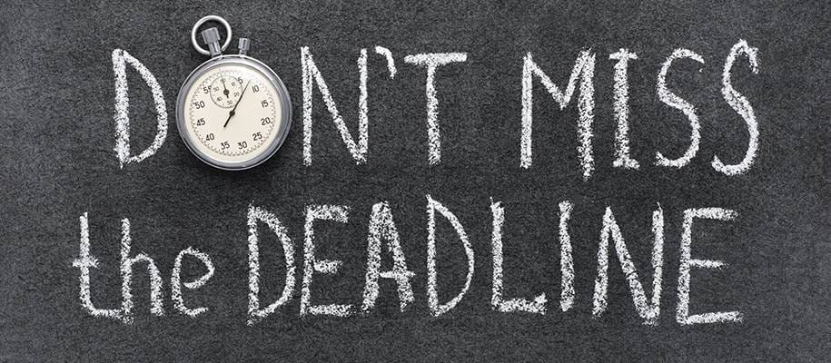 What Happens If You Miss the Florida Annual Report Deadline?